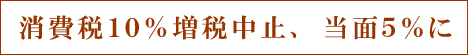 消費税10%増税中止、当面5%に
